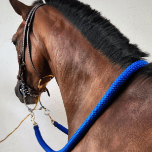 MONARCH TRAIL SADDLE WATERPROOF